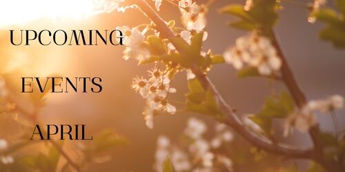 19296098_6912x3456_500